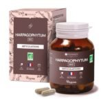 YVES PONROY HARPAGOPHYTUM ARTICULATIONS 60 GELULES